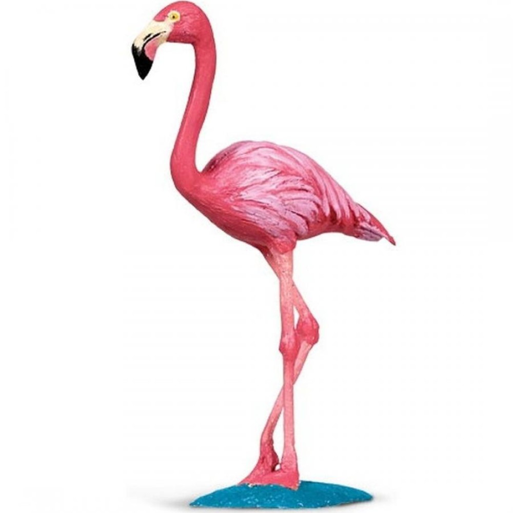 Safari Flamingo Φλαμίνγκο