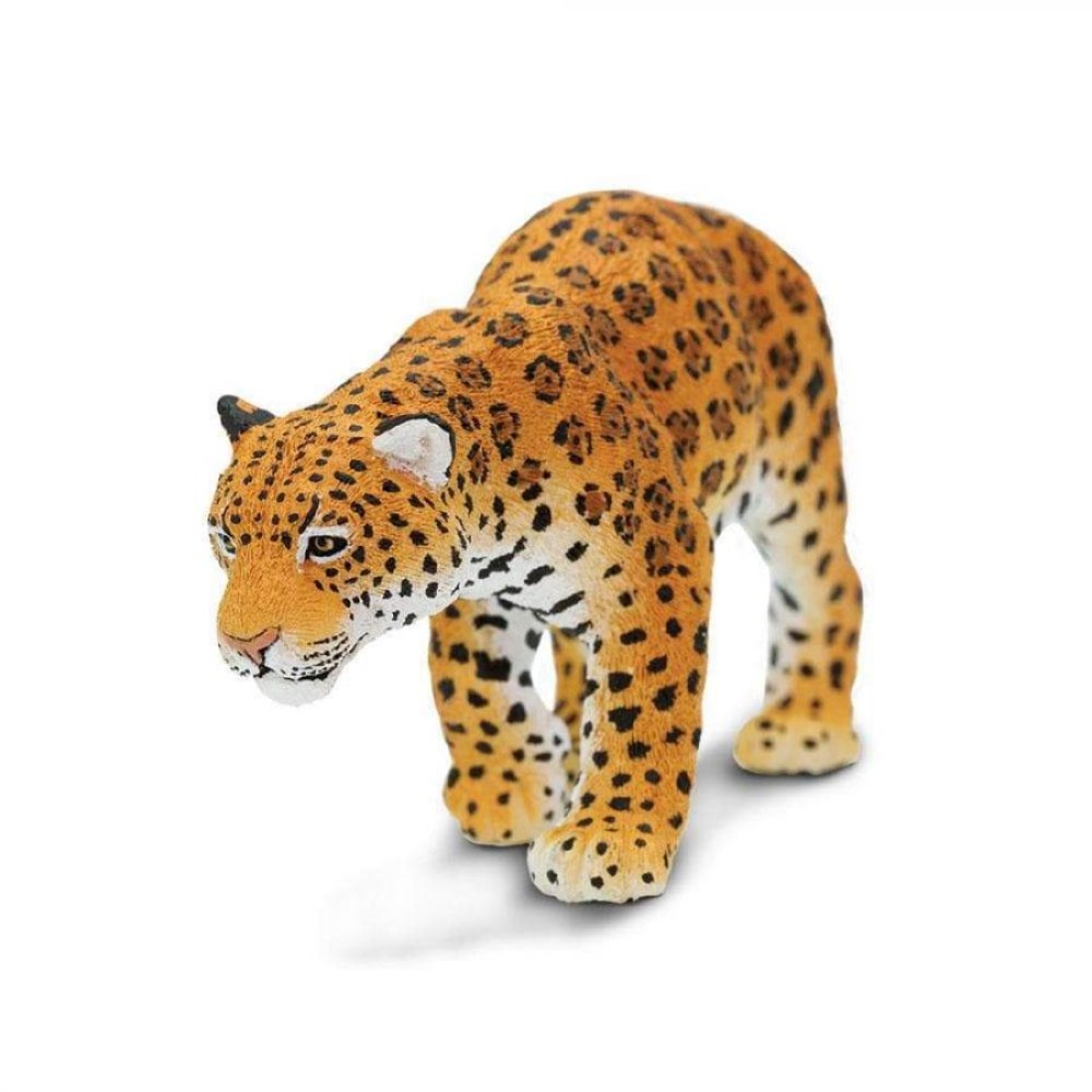 Safari Jaguar Ιαγουάρος