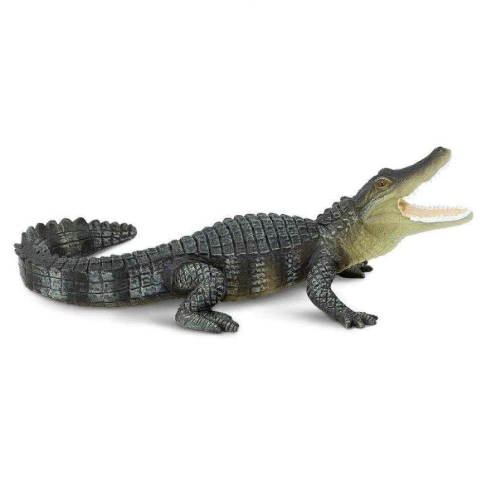 Safari Alligator Αλιγάτορας