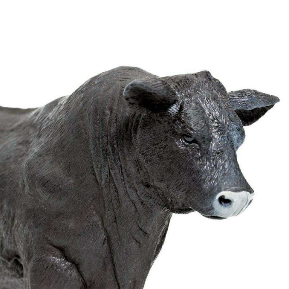 Safari Angus Bull Ταύρος Άνγκους