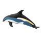 Safari Atlantic White-Sided Dolphin Δελφίνι Λευκής Όψης Ατλαντικ