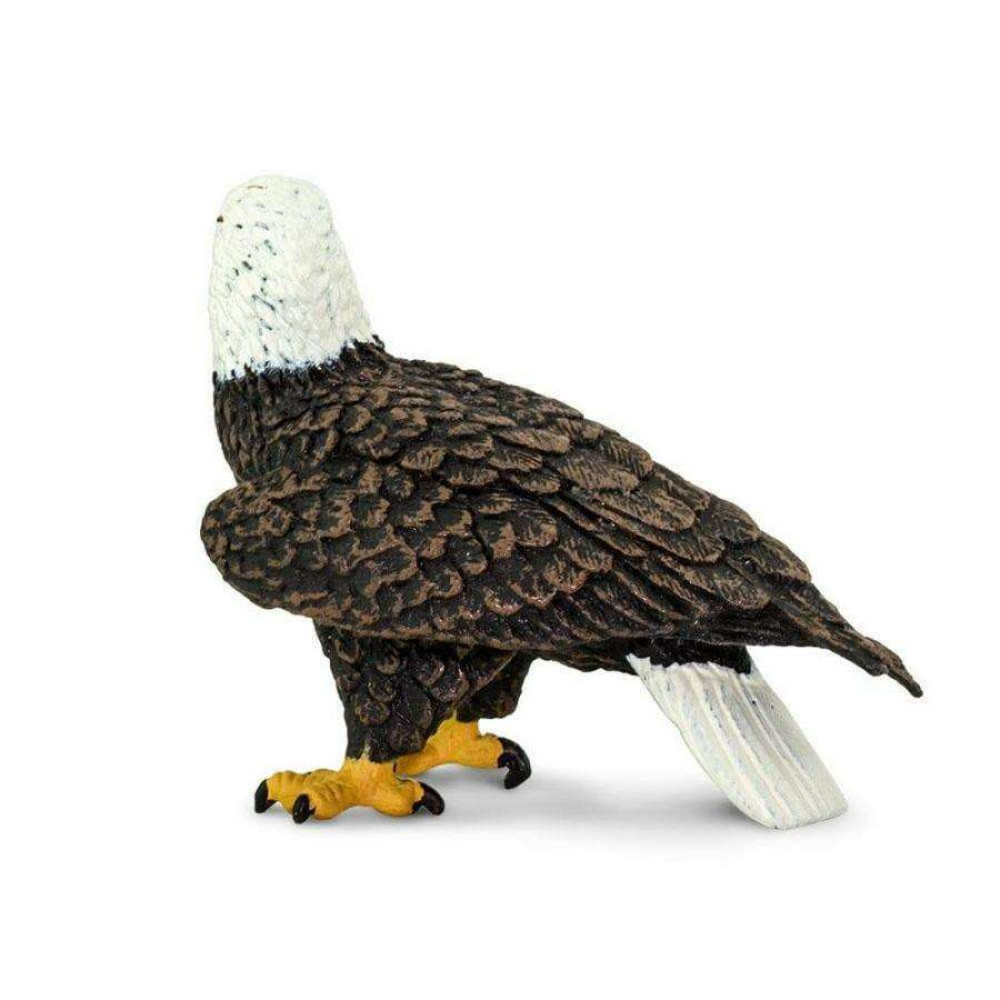 Safari Bald Eagle Λευκοκέφαλος Αετός