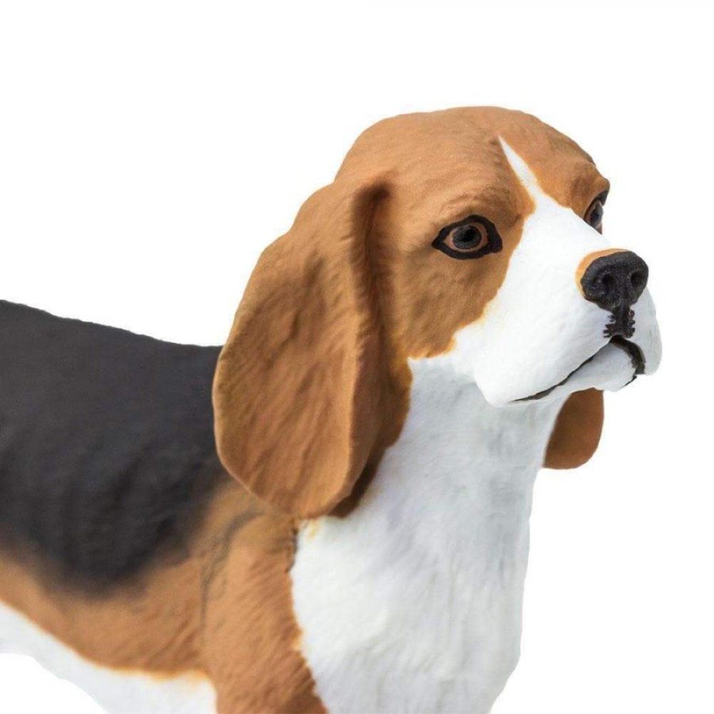 Safari Beagle Σκύλος Μπίγκλ