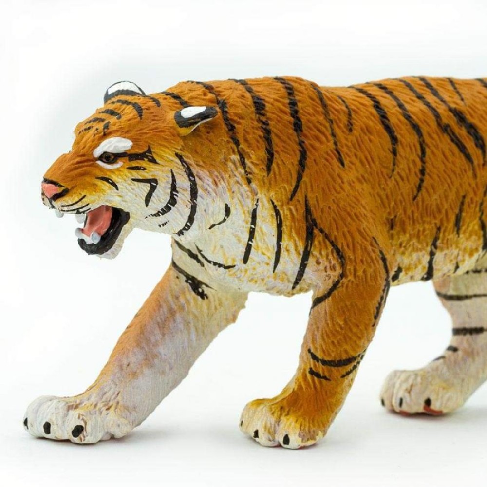 Safari Bengal Tiger Τίγρη της Βεγγάλης
