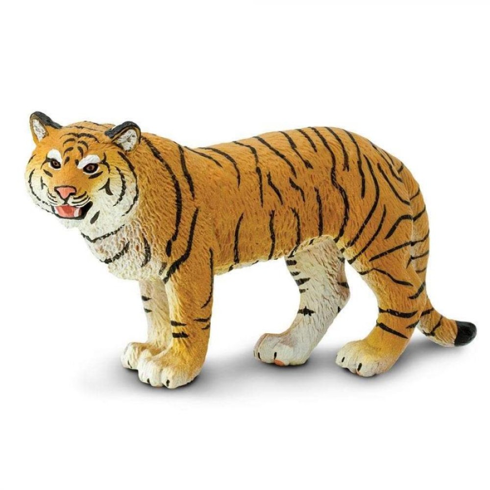 Safari Bengal Tigress Τίγρη της Βεγγάλης