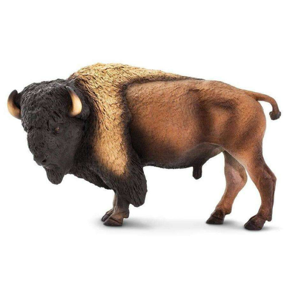 Safari Bison  Βίσονας