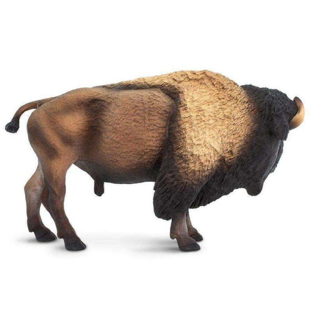 Safari Bison  Βίσονας