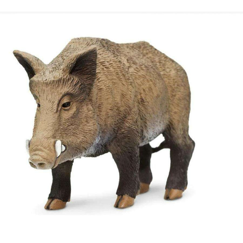 Safari Boar Αγριόχοιρος