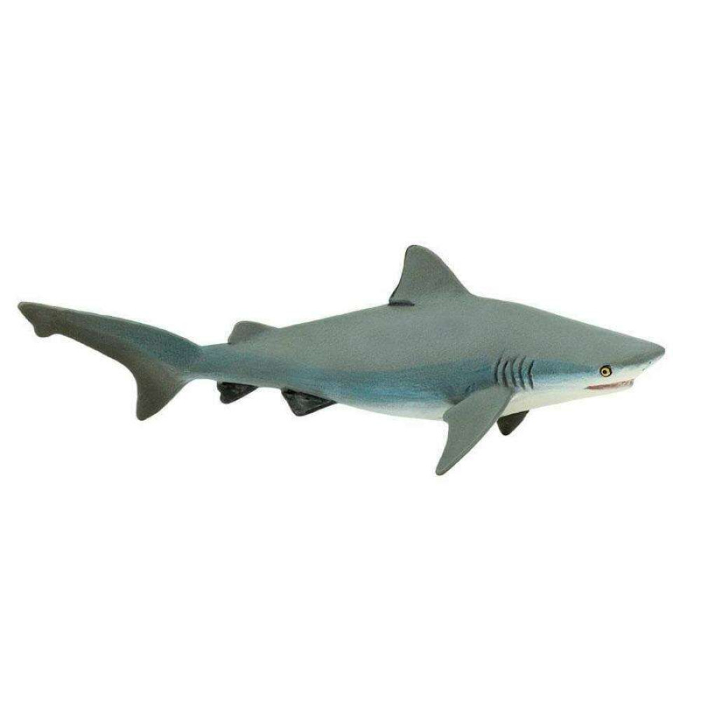 Safari Bull Shark Ταυροκαρχαρίας