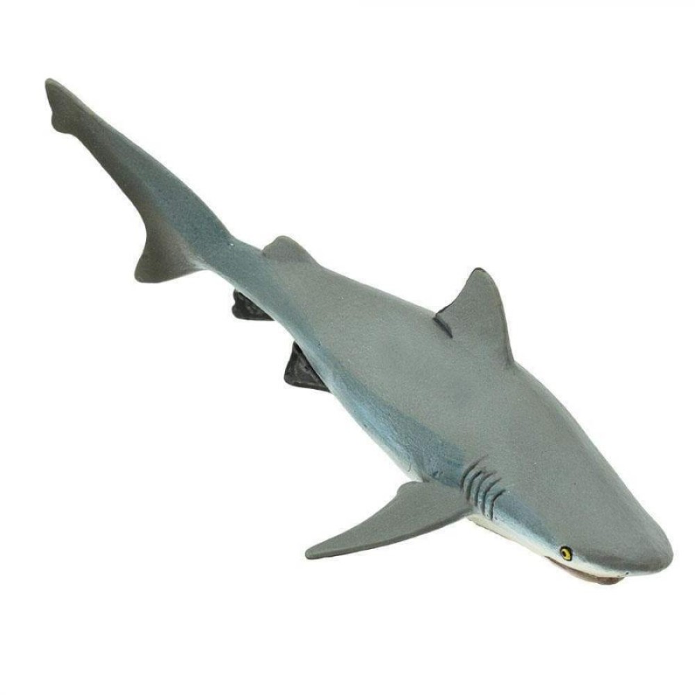 Safari Bull Shark Ταυροκαρχαρίας
