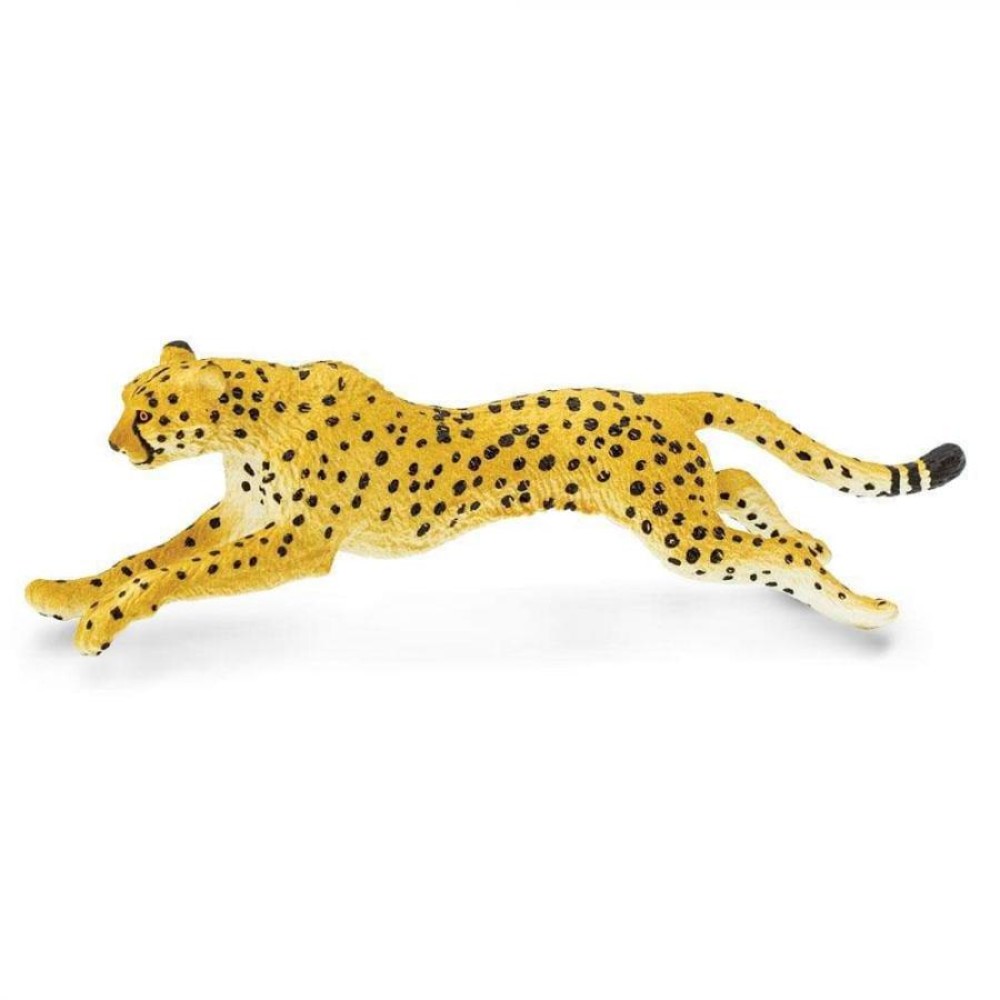Safari Cheetah Γατόπαρδος