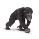 Safari Chimpanzee Χιμπαντζής