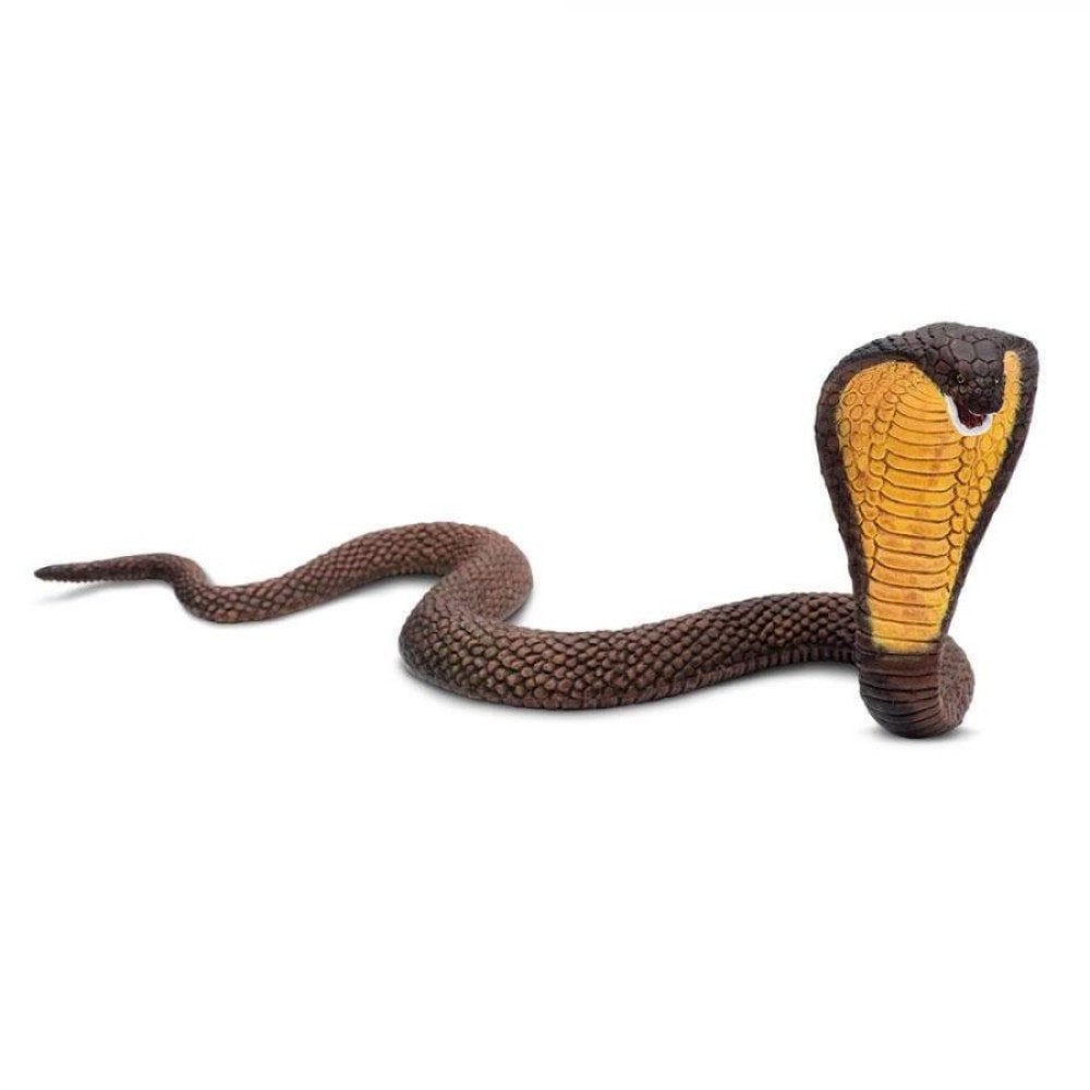 Safari Cobra Κόμπρα