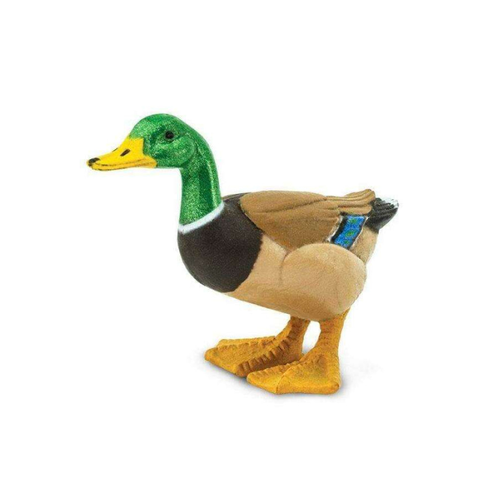 Safari Duck Πάπια