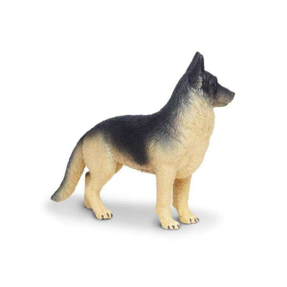 Safari German Shepherd Γερμανικός Ποιμενικός