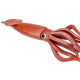 Safari Giant Squid Γιγαντιαίο Καλαμάρι