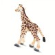 Safari Giraffe Baby Μωρό Καμηλοπάρδαλη