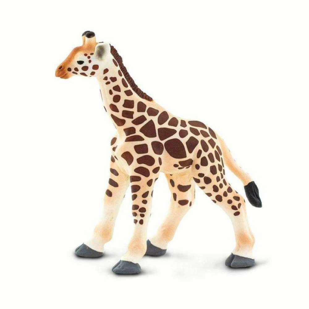 Safari Giraffe Baby Μωρό Καμηλοπάρδαλη