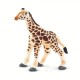 Safari Giraffe Baby Μωρό Καμηλοπάρδαλη