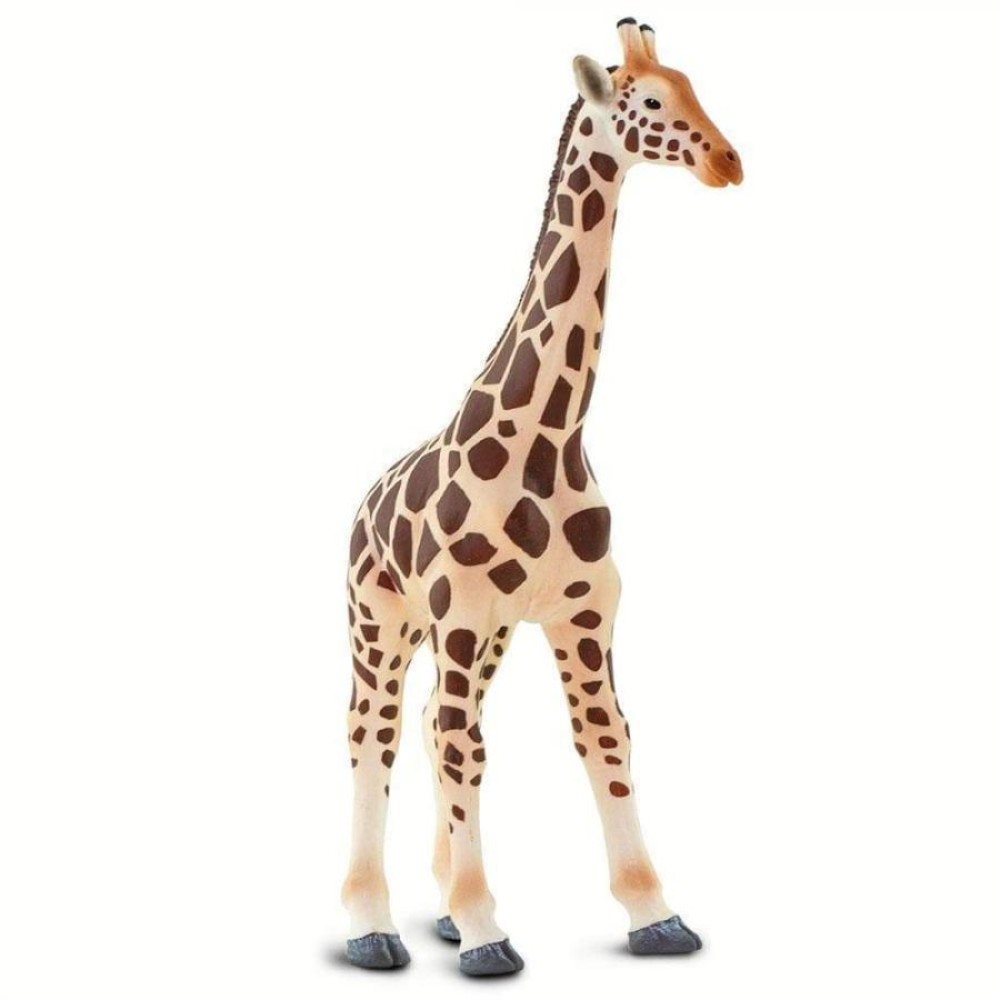 Safari Giraffe Καμηλοπάρδαλη