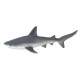Safari Gray Reef Shark Γκρί Υφαλοκαρχαρίας