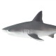 Safari Gray Reef Shark Γκρί Υφαλοκαρχαρίας