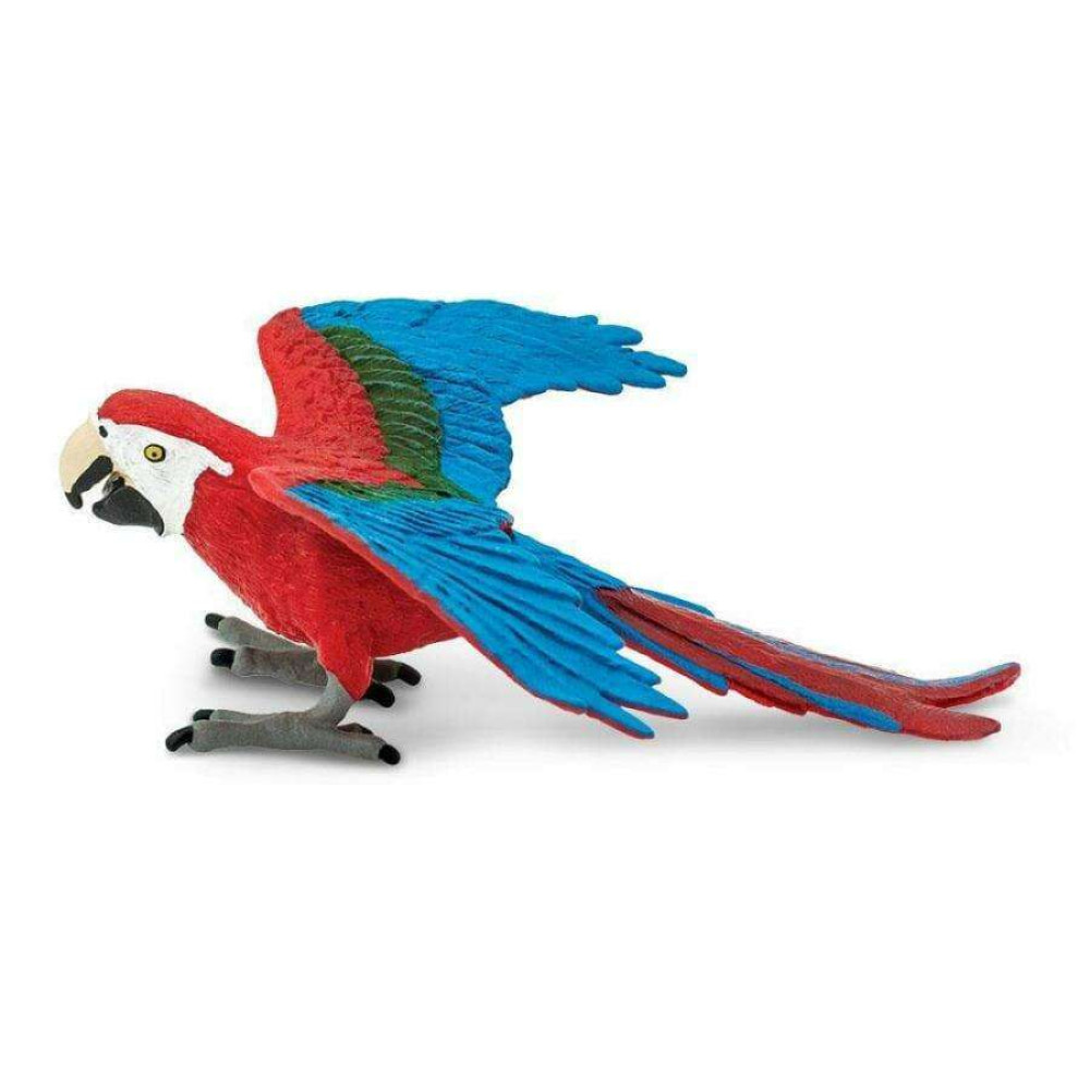 Safari Green winged Macaw Κοκκινοπράσινος Μακάο