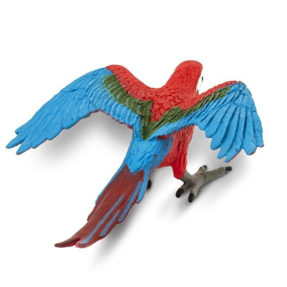 Safari Green winged Macaw Κοκκινοπράσινος Μακάο