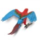 Safari Green winged Macaw Κοκκινοπράσινος Μακάο