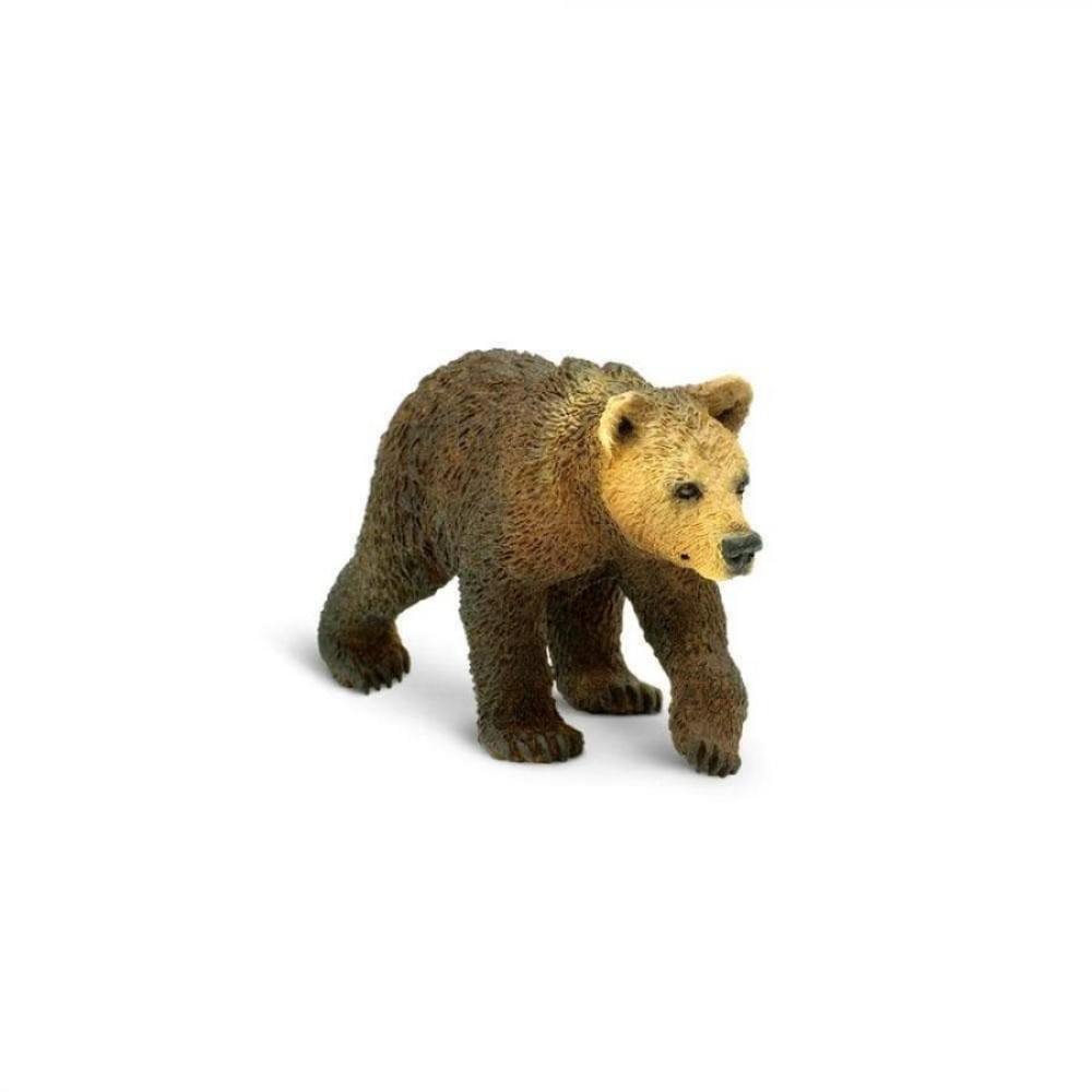 Safari Grizzly Bear Cub Νεαρή Αρκούδα Γκρίζλι