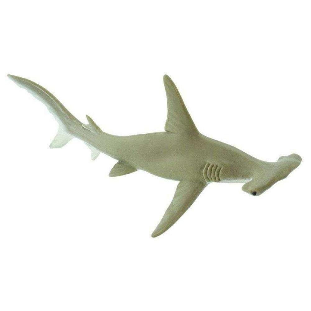 Safari Hammerhead Shark Σφυροκέφαλος Καρχαρίας