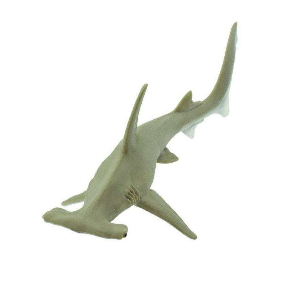 Safari Hammerhead Shark Σφυροκέφαλος Καρχαρίας