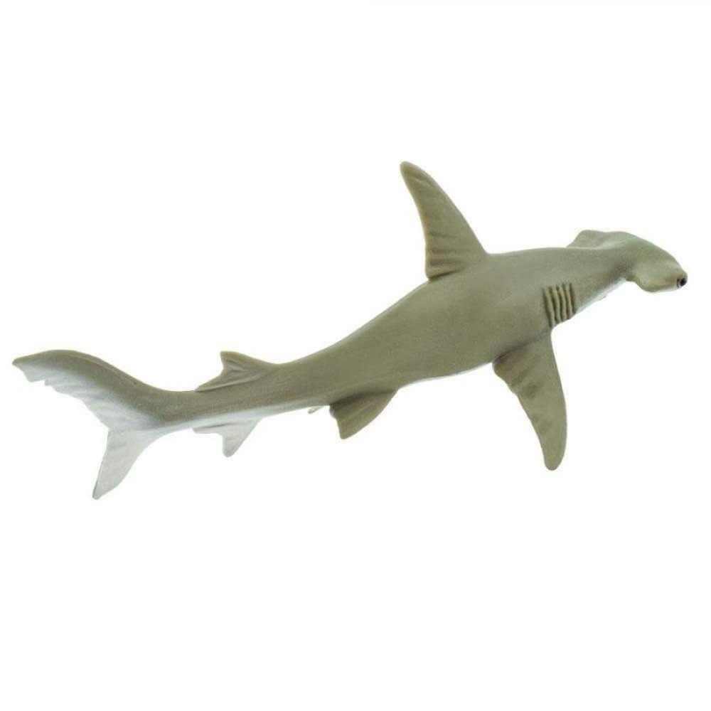 Safari Hammerhead Shark Σφυροκέφαλος Καρχαρίας