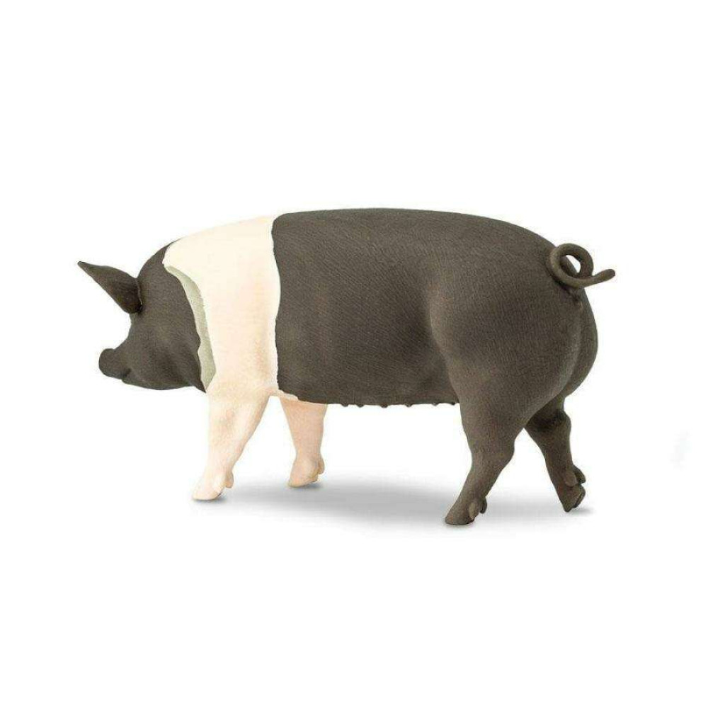 Safari Hampshire Pig Γουρούνι Χαμσάιρ