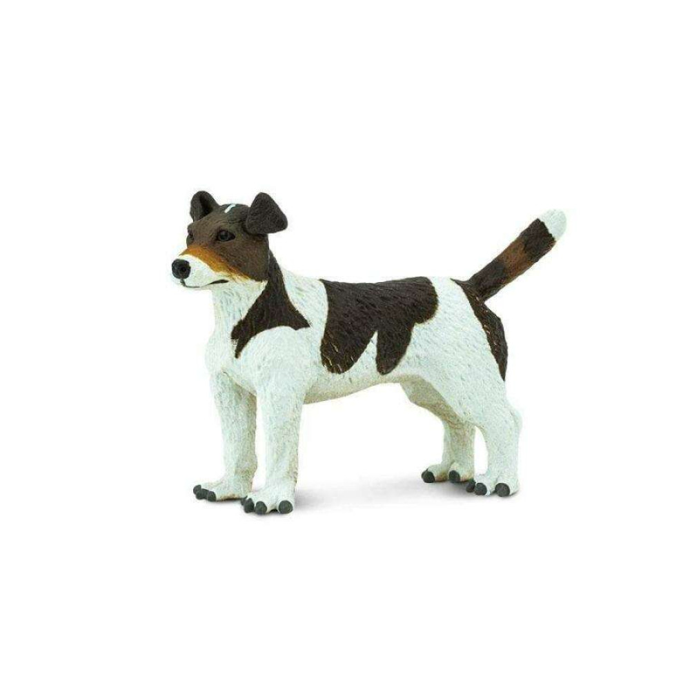 Safari Jack Russell Terrier Σκύλος Τζακ Ράσελ Τεριέ