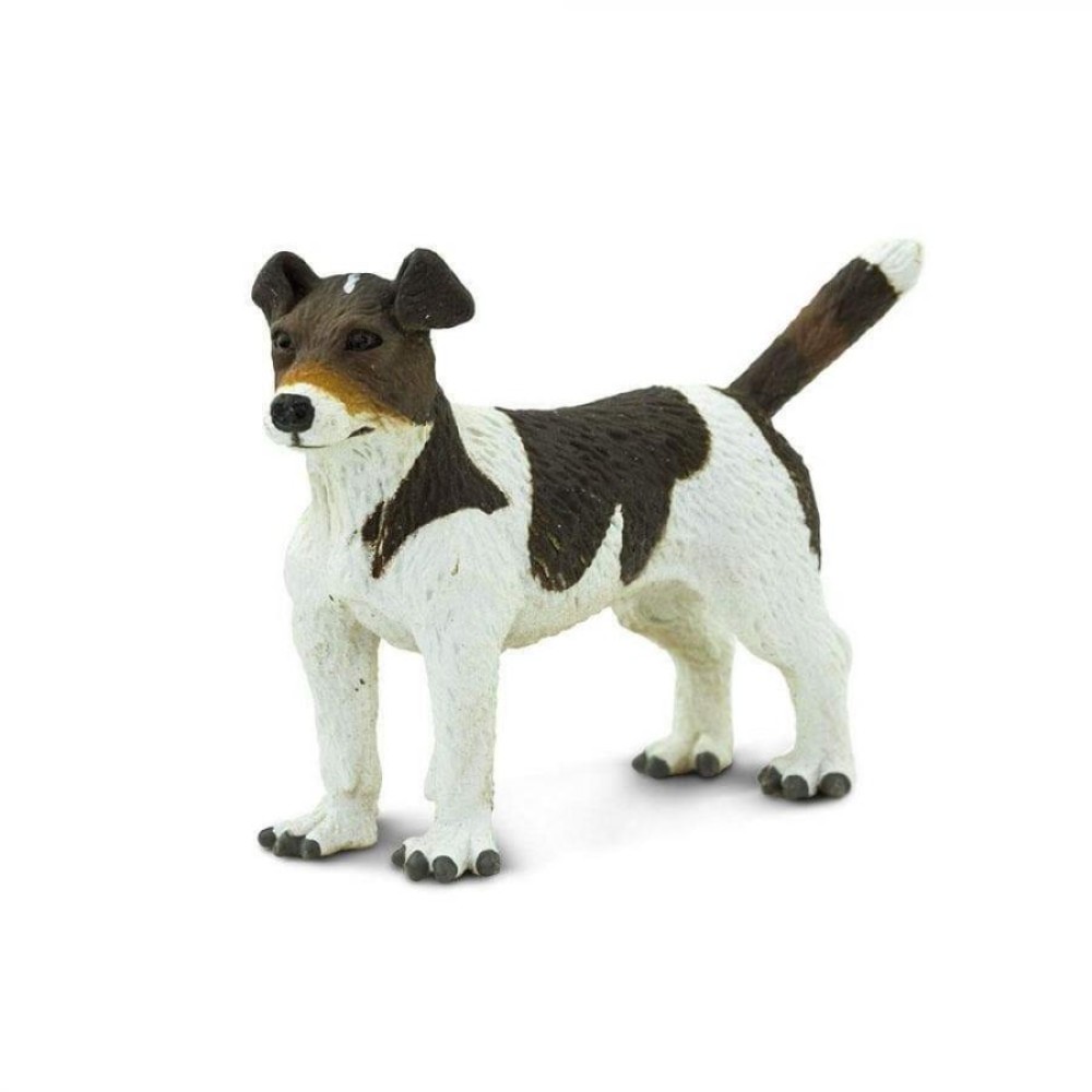 Safari Jack Russell Terrier Σκύλος Τζακ Ράσελ Τεριέ
