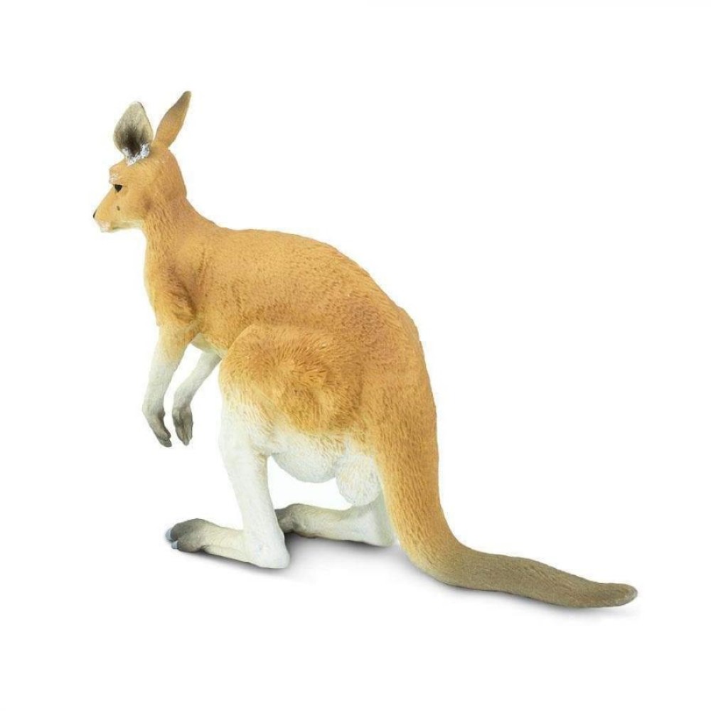 Safari Kangaroo With Joey  Καγκουρό με Μωρό