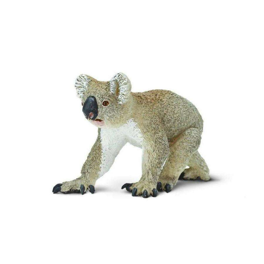 Safari Koala Κοάλα