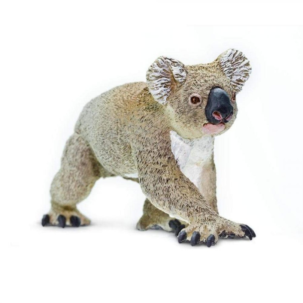 Safari Koala Κοάλα