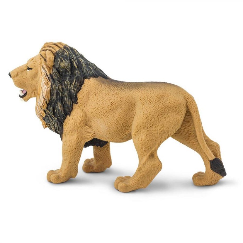 Safari Lion Λιοντάρι