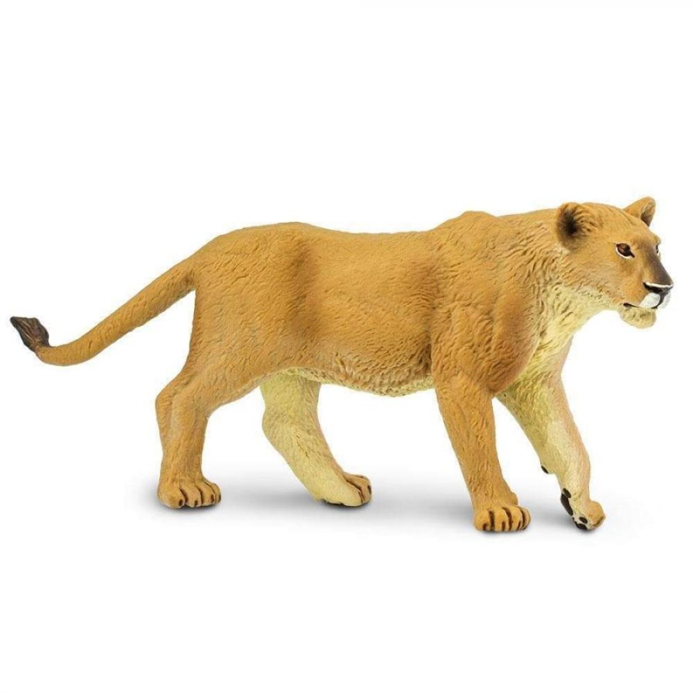 Safari Lioness Λέαινα