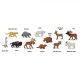 Safari Ltd Μινιατούρες “’Άγρια Ζωή Βόρειας Αμερικής” (12τμχ)