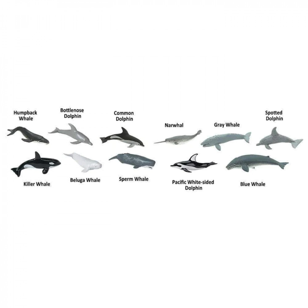 Safari Ltd Μινιατούρες “Φάλαινες και Δελφίνια” (11τμχ)