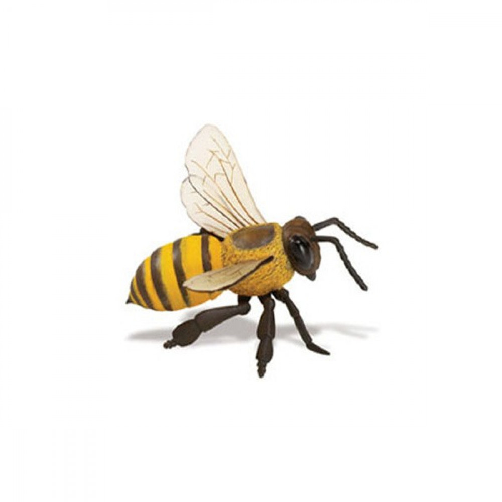 Safari Ltd Μινιατούρες “Κύκλος Ζωής μιας Μέλισσας” (4τμχ)