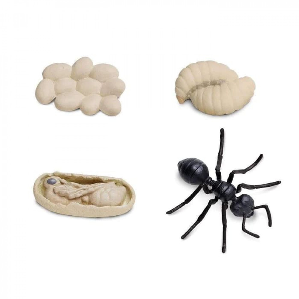 Safari Ltd Μινιατούρες “Κύκλος Ζωής ενός Μυρμηγκιού” (4τμχ)