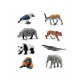 Safari Ltd Μινιατούρες “Ζώα της Ασίας” (8τμχ)