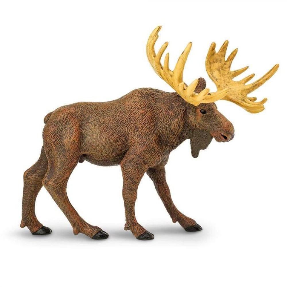 Safari Moose ’Αλκη