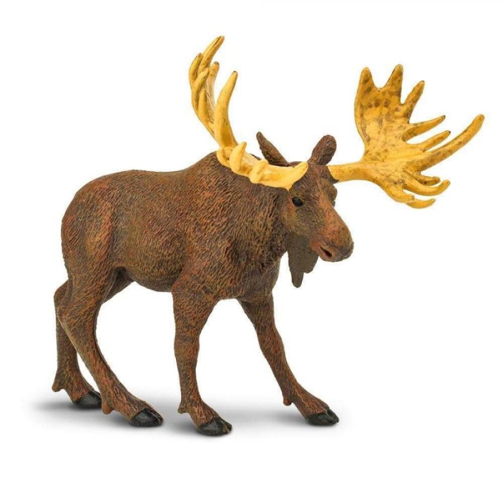 Safari Moose ’Αλκη