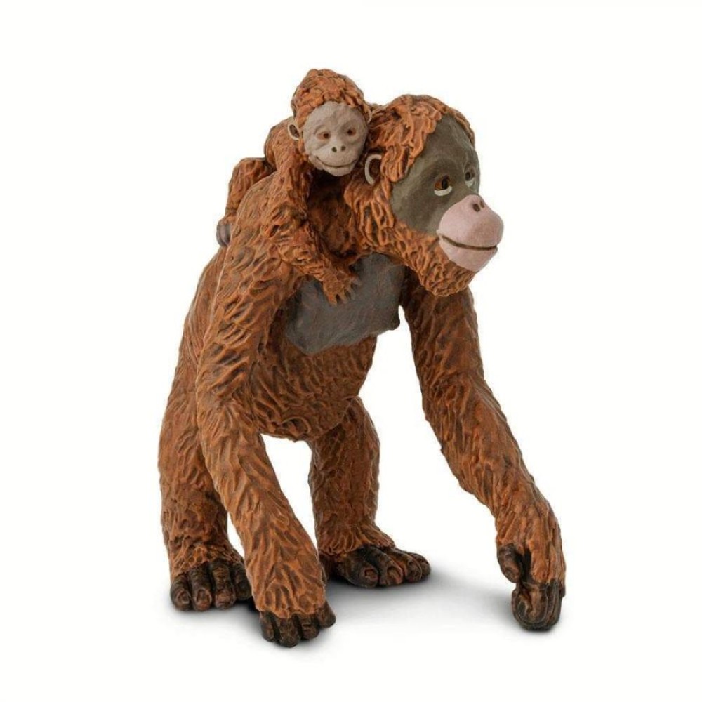Safari Orangutan with Baby Ουρακοτάγκος με Μωρό