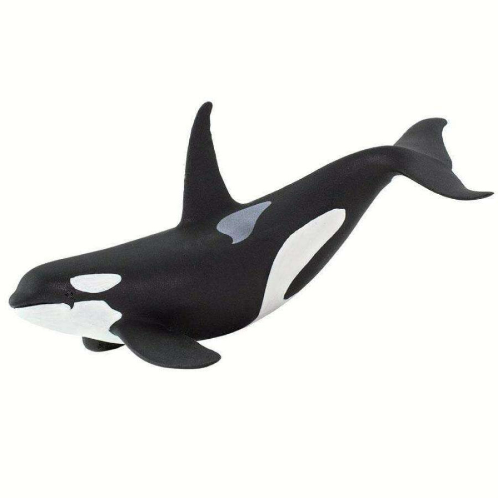 Safari Orca  Όρκα